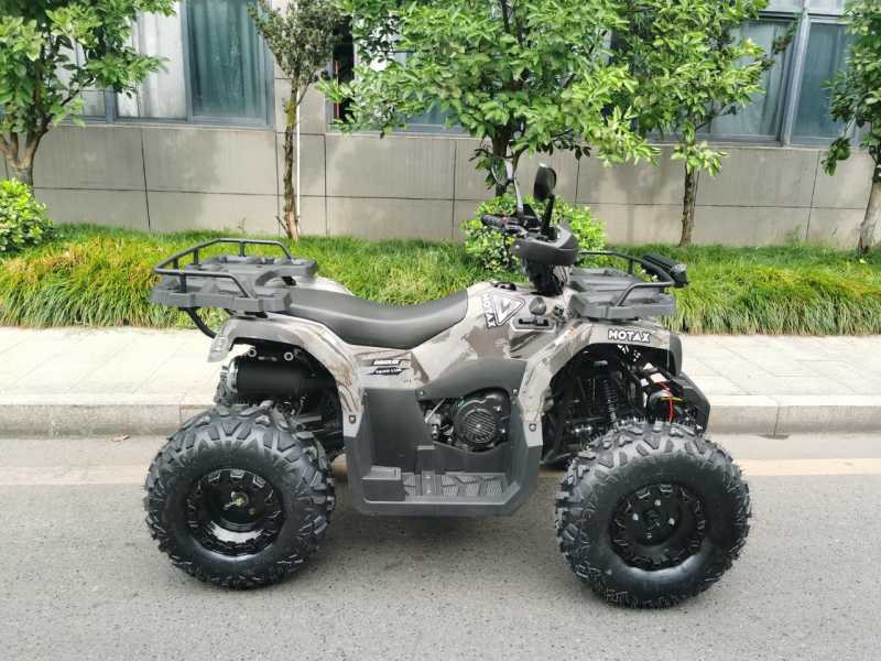 Квадроцикл MOTAX ATV Grizlik T200