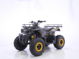 Квадроцикл MOTAX ATV Grizlik T200