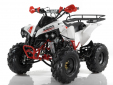 Квадроцикл Motax ATV Raptor Super LUX 125